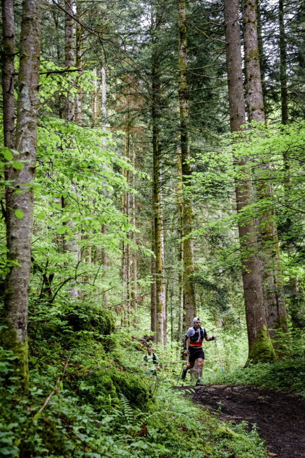 Le sifflement de la marmotte T3BC